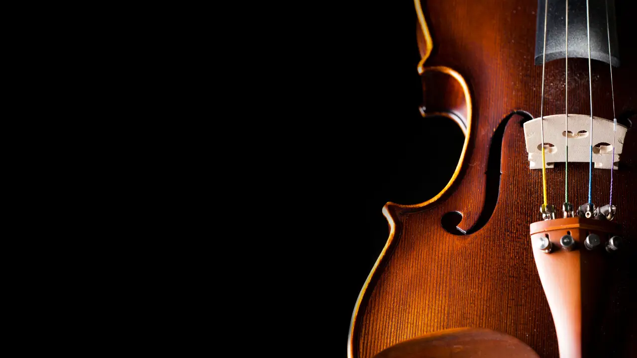 stradivarius